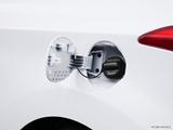  Gas cap open photo